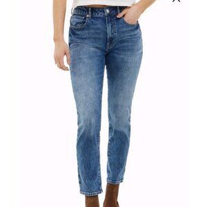 NEW Articles Of Society Jones Straight Leg Jeans Size 27/4 High Rise Ankle Slim